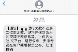 荔蒲遇到恶意拖欠？专业追讨公司帮您解决烦恼